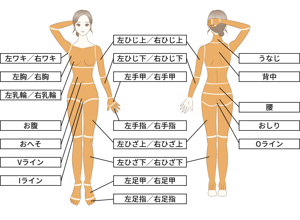 全身脱毛 + VIO or 顔